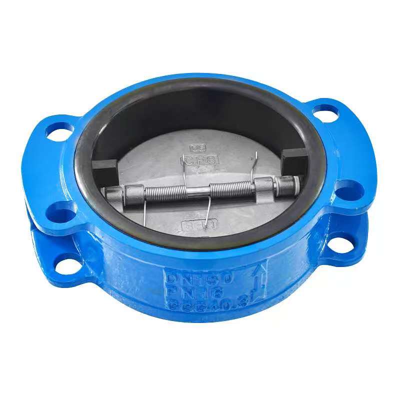 Je! Ni vidokezo gani muhimu vya kuchagua valves za kuangalia