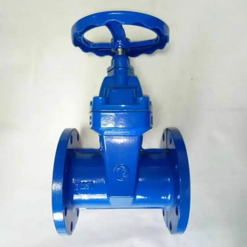 Ductile chuma siri fimbo laini muhuri flange lango