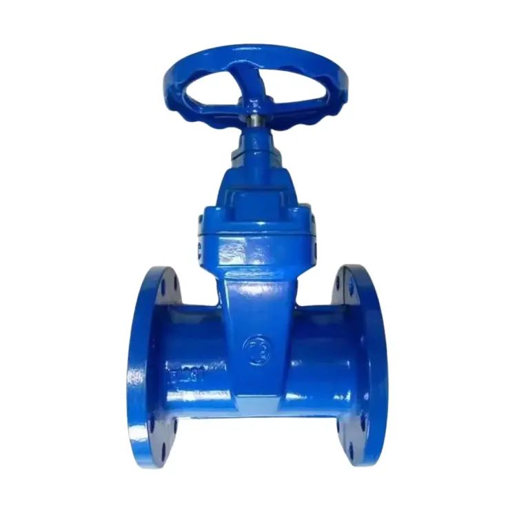 Ductile chuma siri fimbo laini muhuri flange lango
